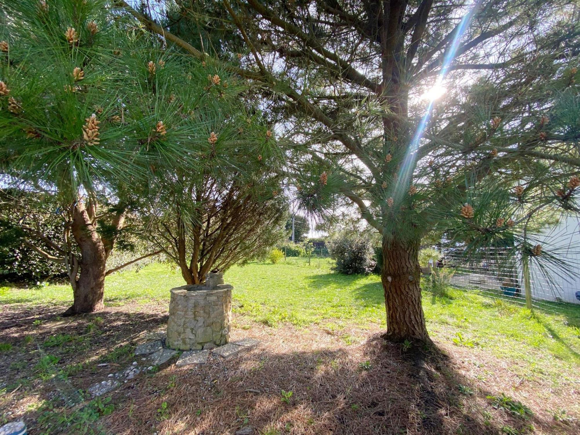 Er Blehua - 5 Pieces, Jardin, Sainte-Barbe - C58 Villa Plouharnel Kültér fotó